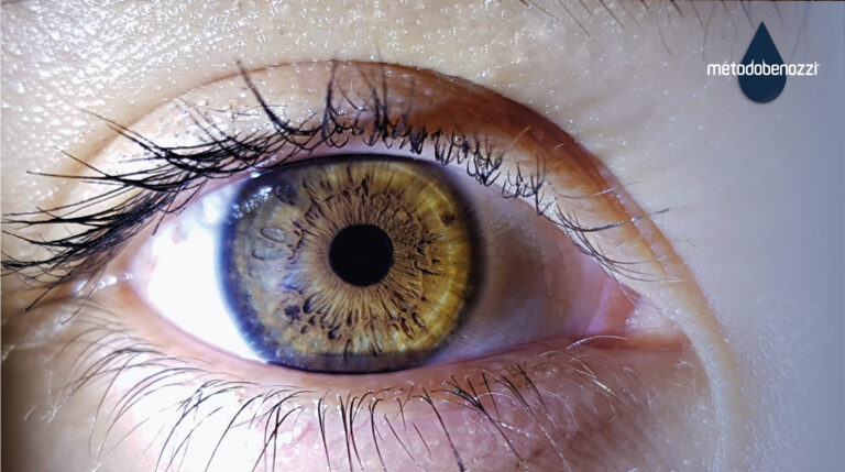 ¿Cómo ve una persona con retinosis pigmentaria?